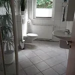 Eismecke * بيستفيغ